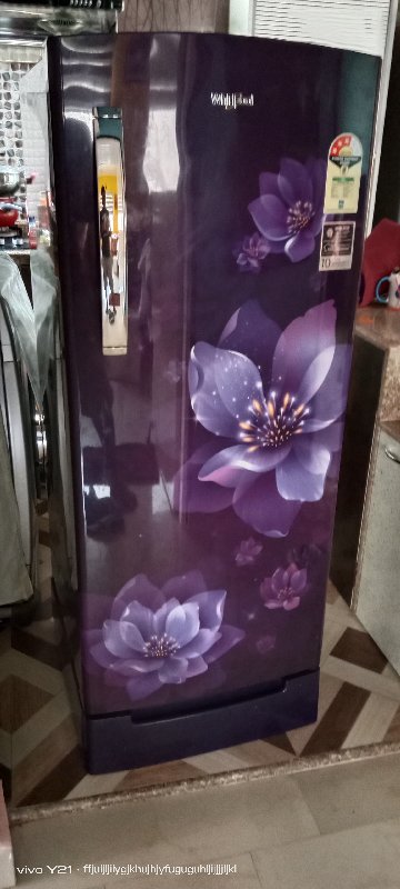 hisense 359l fridge