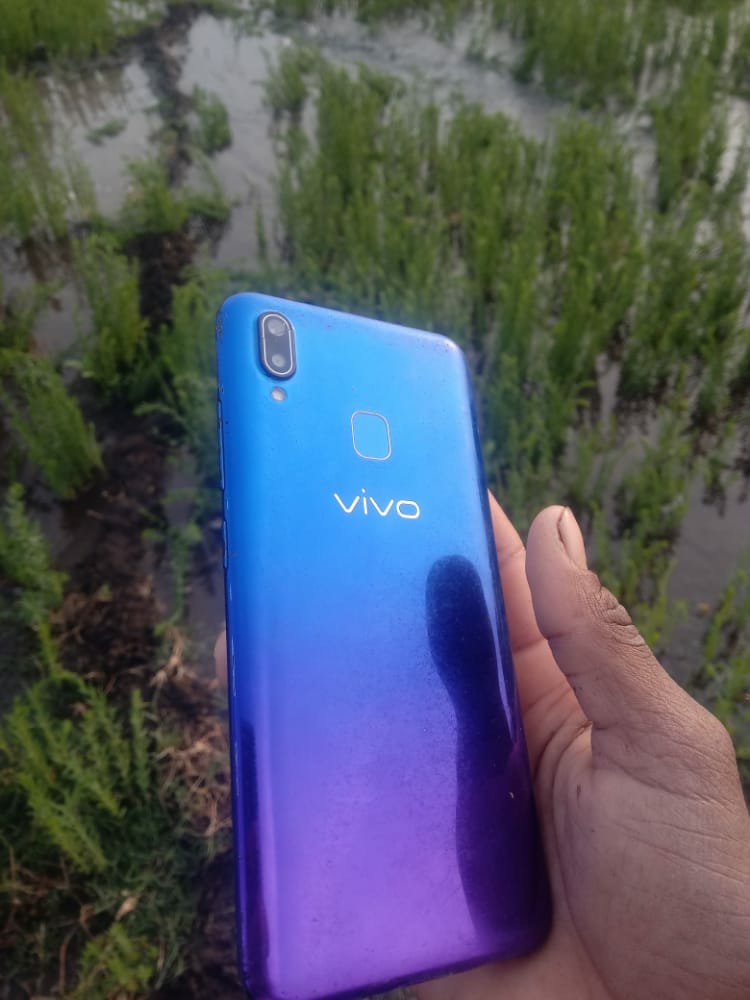 vivo y95 3 64