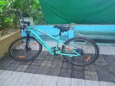 hero lectro single speed
