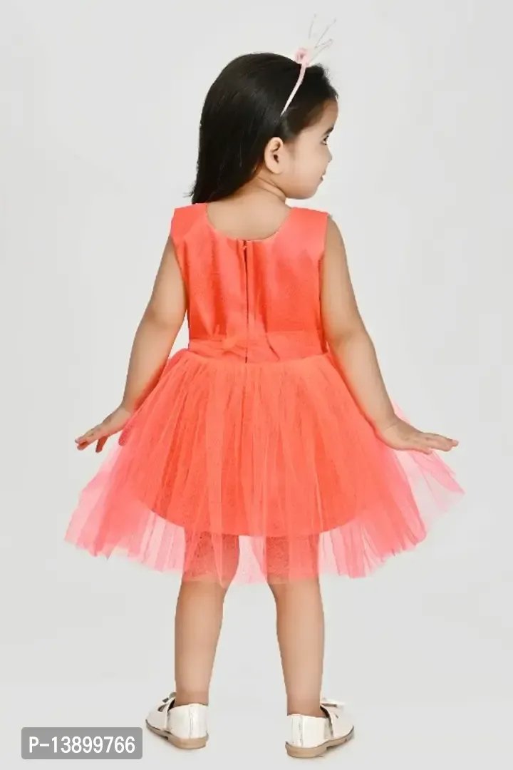 Childbird Multi-Color Net Party Wear Kids Baby Frock