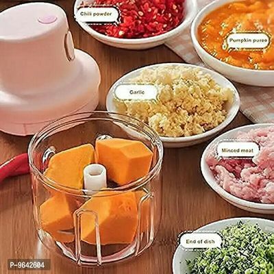 Fruit Chopper Vegetable Onion Garlic Cutter Press Manual Food Speedy Mini  Slicer