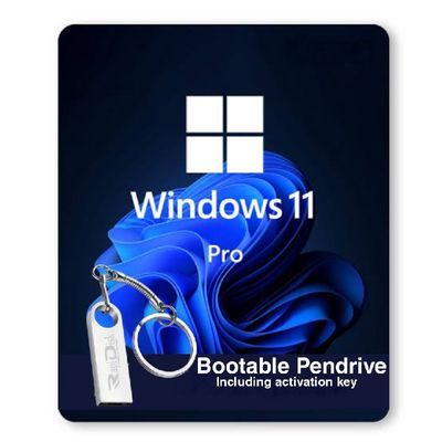 Windows 11 Professional – Pen Drive